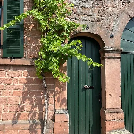 Vyne Apartments - Studio - Privater Hof - Parkplatz - Nahe Weinstrasse Apartamento